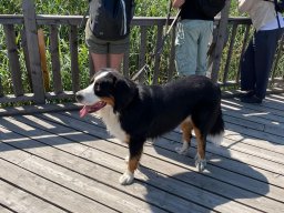 FUN in der Lobau (21)